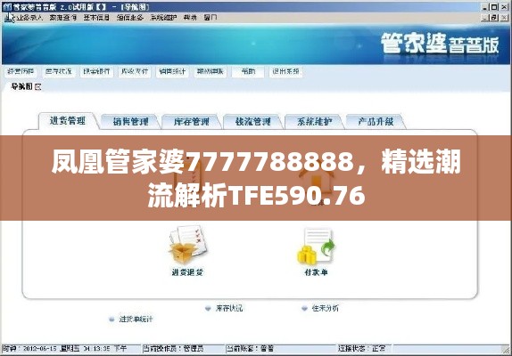 凤凰管家婆7777788888，精选潮流解析TFE590.76