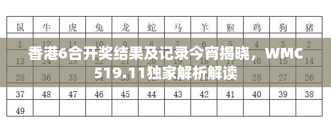 香港6合开奖结果及记录今宵揭晓，WMC519.11独家解析解读