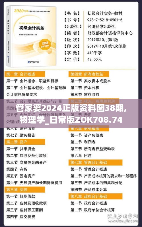 管家婆2024正版资料图38期,物理学_日常版ZOK708.74