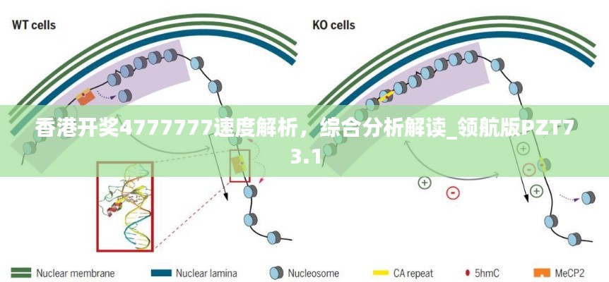 香港开奖4777777速度解析，综合分析解读_领航版PZT73.1
