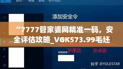 “7777管家婆网精准一码，安全评估攻略_VGK573.99毛坯版”