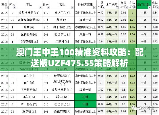 澳门王中王100精准资料攻略：配送版UZF475.55策略解析