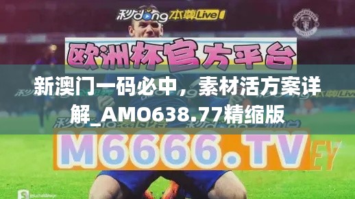 新澳门一码必中，素材活方案详解_AMO638.77精缩版