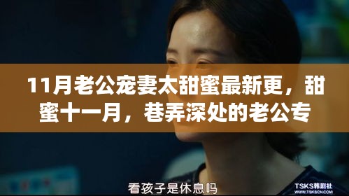 甜蜜十一月，老公专属宠妻秘密基地的甜蜜故事更新