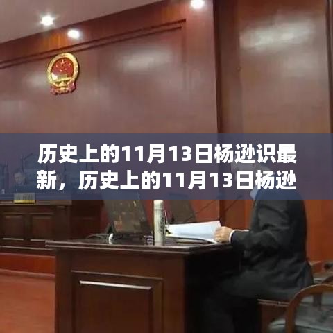 历史上的11月13日杨逊识深度解析，全面了解的步骤指南