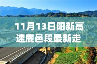 阳新高速鹿邑段最新走向，道路变迁与学习之旅