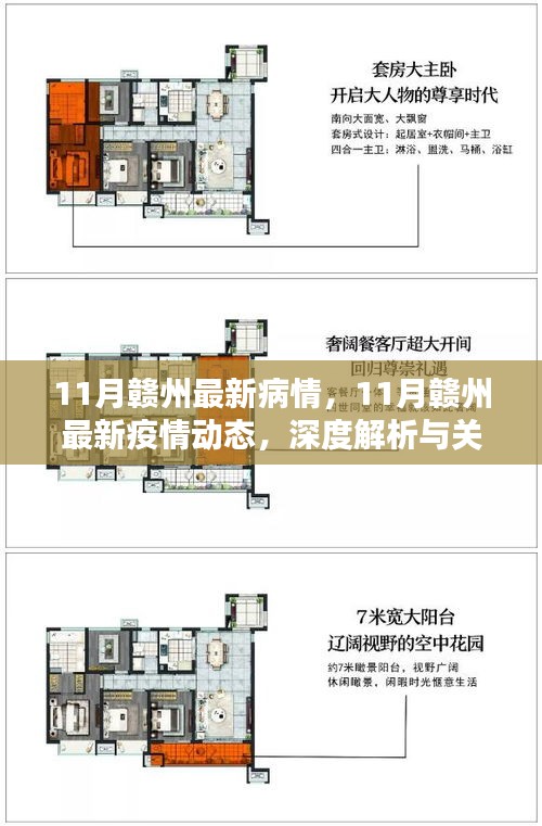 深度解析与关键信息汇总，赣州最新疫情动态及病情更新（11月版）