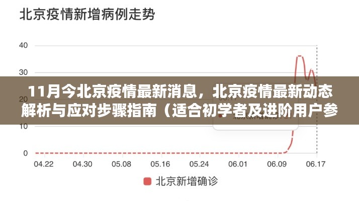 北京疫情最新动态解析与应对指南（初学者与进阶用户必备参考）