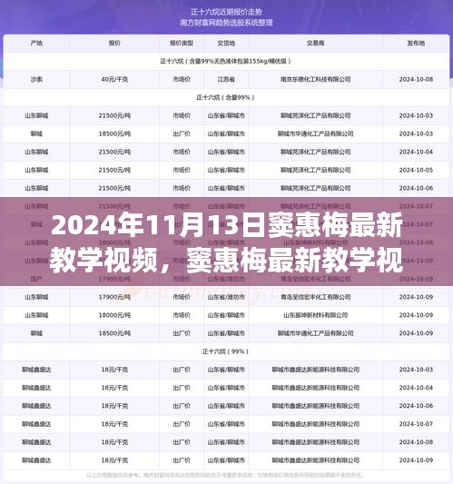 窦惠梅最新教学视频学习指南，掌握技能的每一步指南（2024年11月13日版）