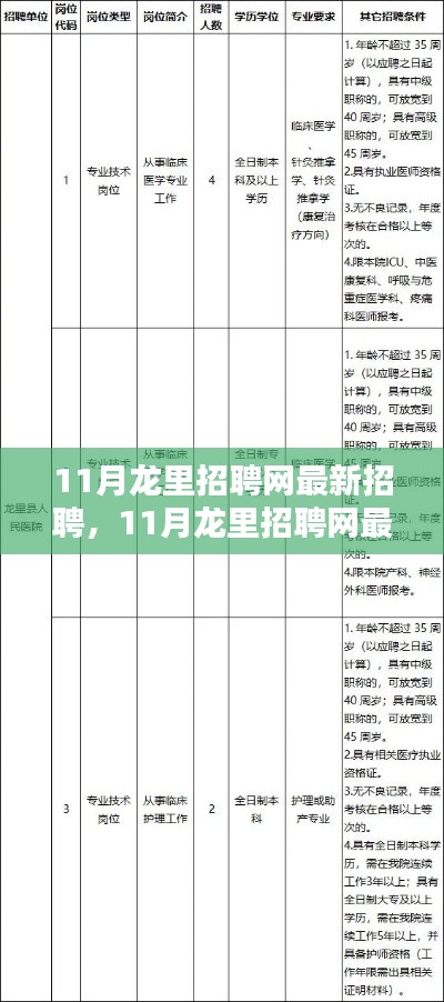 11月龙里招聘网最新招聘及求职攻略，轻松找到心仪工作的全步骤详解