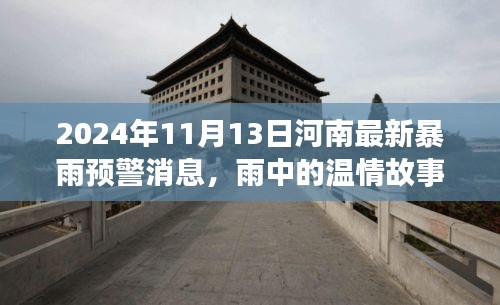 河南暴雨预警下的温情时光，暴雨中的美好故事（2024年11月13日）