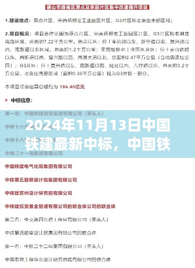 中国铁建最新中标项目参与指南，从入门到精通（2024年11月版）