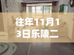 揭秘乐陵二手房市场，隐藏宝藏探秘与最新信息速递——乐陵二手房市场深度解析（最新篇）