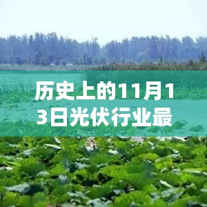 历史上的11月13日光伏行业概览，辉煌瞬间与最新动态回顾