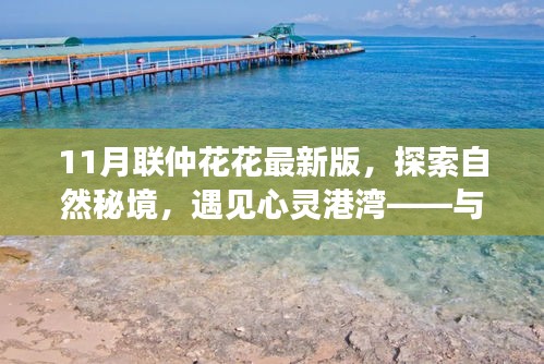 联仲花花最新版，探索自然秘境，心灵港湾的旅行盛宴