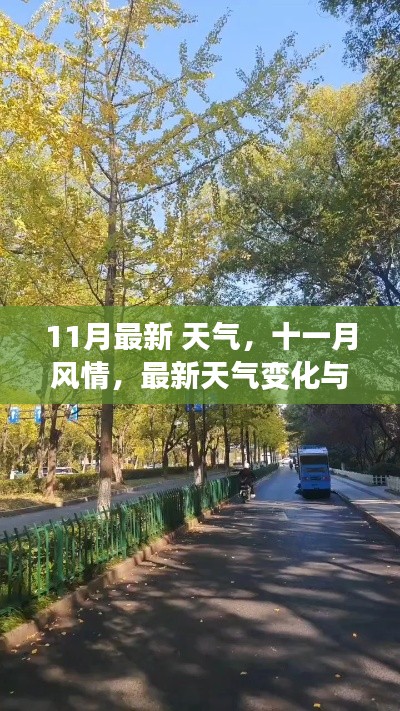 小红书上的秋日暖意，最新十一月天气变化与风情同行