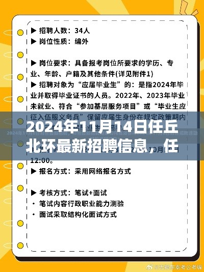 任丘北环最新招聘信息深度评测，特性、体验、竞品对比与用户分析（2024年）