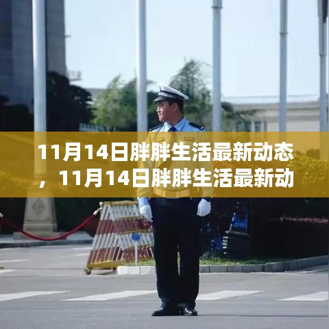 11月14日胖胖生活最新动态，任务完成与技能学习全攻略揭秘