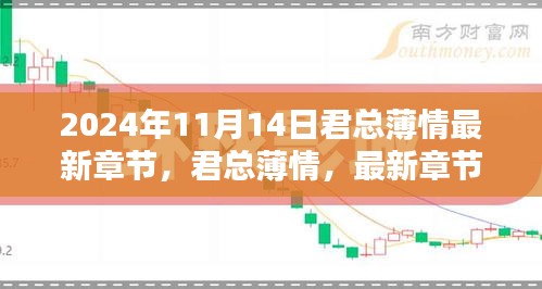 君总薄情深度解析与影响回顾，最新章节展望（2024年11月14日）