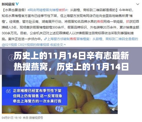 历史上的11月14日辛有志燕窝事件深度解析与回顾