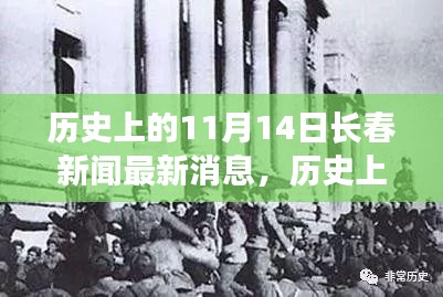 历史上的11月14日长春新闻深度解析，探寻时光印记的最新消息与一览资讯