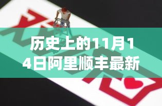 阿里顺丰秋日奇遇，历史上的11月14日最新消息揭秘