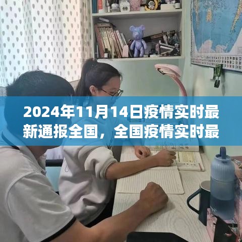 2024年11月14日全国疫情实时最新通报与深度评测