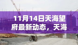 揭秘天海望府最新动态，揭秘三大看点，11月14日最新报道速递