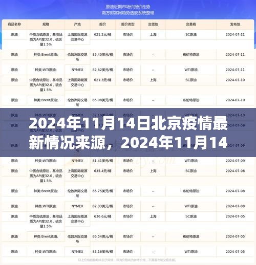 2024年11月14日北京疫情最新动态与深度解析