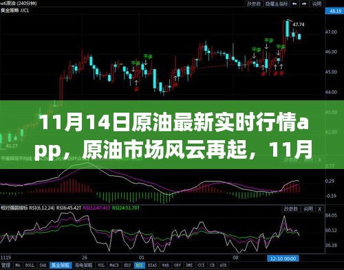 11月14日原油实时行情APP解析，市场风云再起