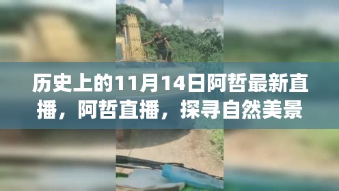 阿哲探寻自然美景的奇妙旅程，心灵洗涤之旅——11月14日直播纪实