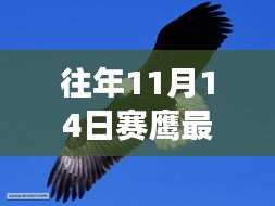 揭秘，最新款赛鹰科技鹰隼无人机的前卫功能与非凡体验——赛鹰巅峰之作，历年巅峰时刻回顾