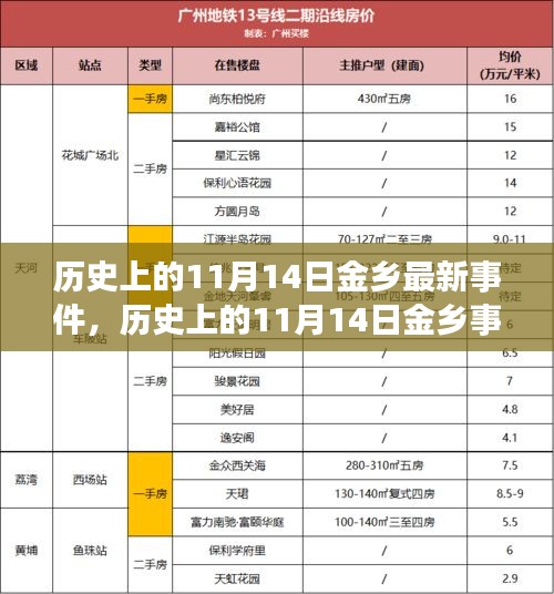 历史上的11月14日金乡事件深度解析，一种独特视角