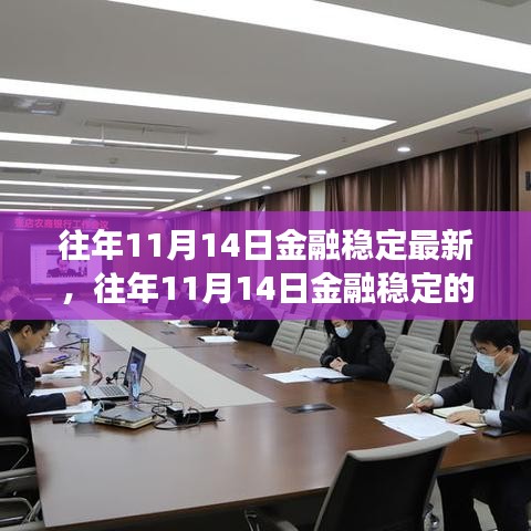 往年11月14日金融稳定观察，最新趋势、案例分析与研究综述