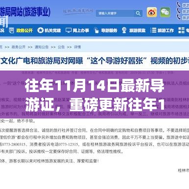 往年11月14日最新导游证攻略大全，必备知识与技巧一网打尽