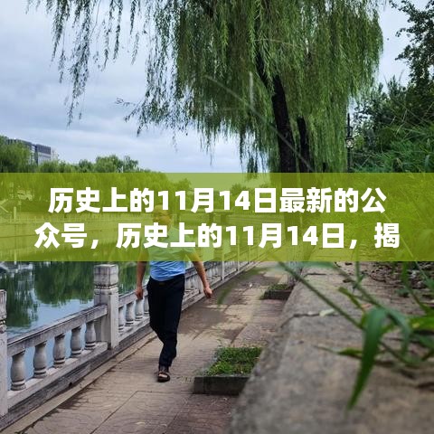 揭秘历史上的重大事件背后的故事，历史上的11月14日最新公众号文章揭秘揭秘揭秘！