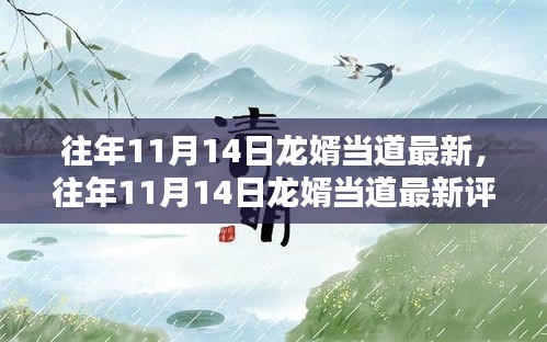 往年11月14日龙婿当道最新评测，特性、体验、竞品对比及用户群体深度分析