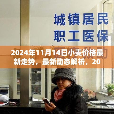 2024年11月14日小麦价格走势分析与最新动态解析——初学者与进阶用户指南