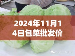 2024年包菜批发价格最新行情分析与市场走势多元观点探讨