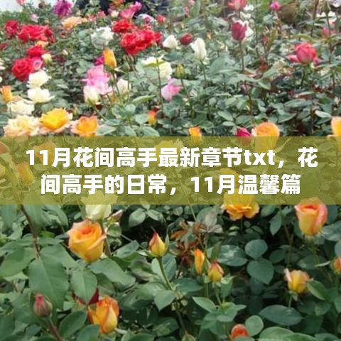 花间高手的温馨日常，最新章节与温馨篇章