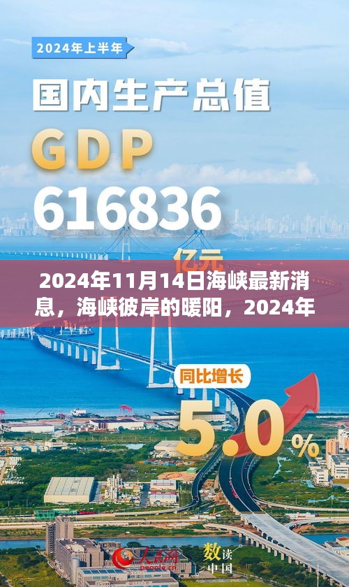 海峡彼岸的暖阳，奇遇与情感纽带在2024年11月14日的最新消息