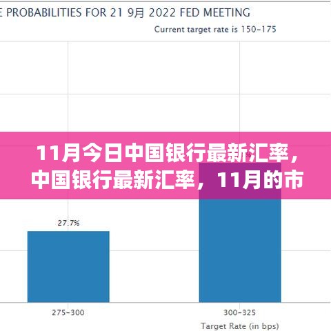 中国银行最新汇率更新，市场观察与影响分析（11月版）