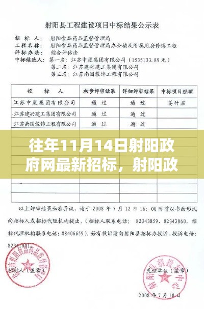 射阳政府网往年11月14日最新招标动态概览，聚焦重要招标活动回顾