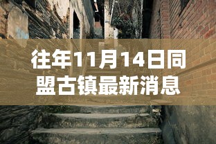 往年11月14日同盟古镇再现往日风采，奇遇与温情纽带揭秘