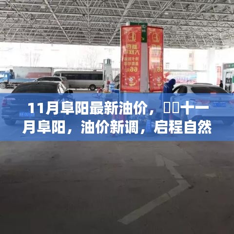 11月阜阳油价调整，启程自然美景之旅，探寻内心平静的力量