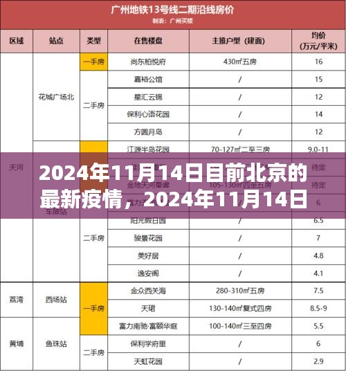 2024年11月14日北京最新疫情概况及防控措施分析报告