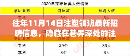 巷弄深处的注塑领班宝藏地，最新招聘信息与火热招募