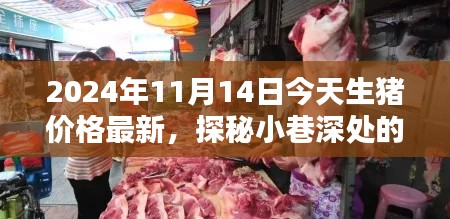 2024年11月14日生猪价格最新动态与小巷深处特色小店探秘