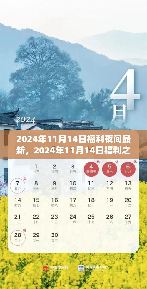 星光璀璨之夜，2024年福利狂欢盛宴