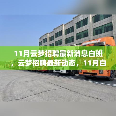 11月云梦招聘最新消息白班，人才市场的繁荣及其影响